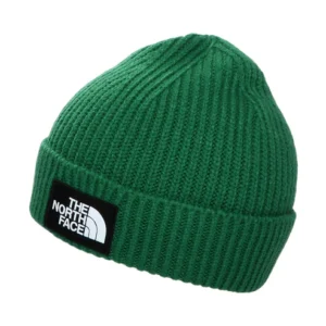 Kids TNF Box Logo Cuffed Beanie Hat - Evergreen