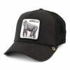 King Of The Jungle Trucker Cap - Black Product Code 206149