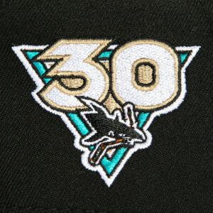 A-FRAME SAN JOSE SHARKS 30TH ANNIVERSARY PATCH SNAPBACK HAT