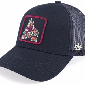 Arizona Coyotes Valin Black Trucker - American Needle