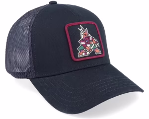 Arizona Coyotes Valin Black Trucker - American Needle