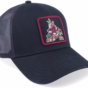 Arizona Coyotes Valin Black Trucker - American Needle