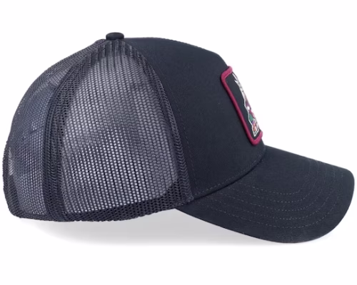 Arizona Coyotes Valin Black Trucker - American Needle