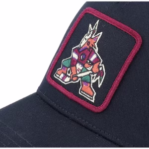 Arizona Coyotes Valin Black Trucker - American Needle