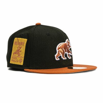 CHICAGO CUBS BE ALERT FOR FOUL BALLS PATCH BP HAT