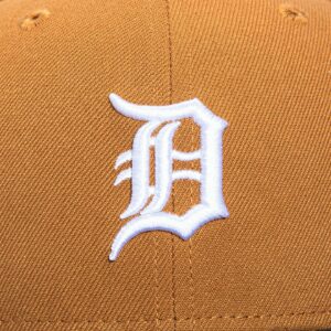 DETROIT TIGERS HAT