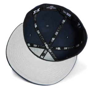 HUDSON VALLEY RENEGADES BIG APPLE HAT