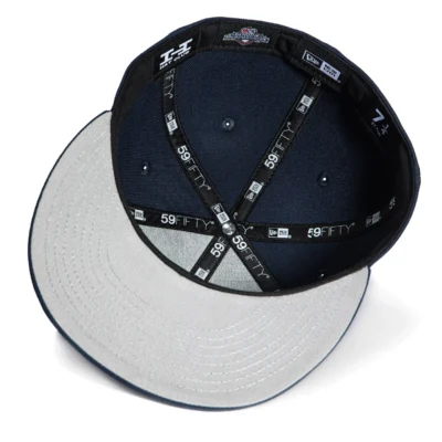 HUDSON VALLEY RENEGADES BIG APPLE HAT