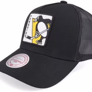 Hatstore Exclusive x Pittsburgh Penguins In Your Face Black A-frame Trucker - Mitchell & Ness
