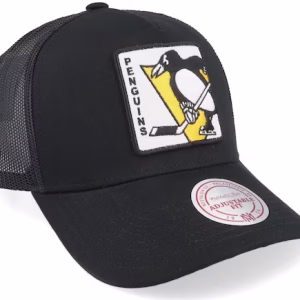 Hatstore Exclusive x Pittsburgh Penguins In Your Face Black A-frame Trucker - Mitchell & Ness