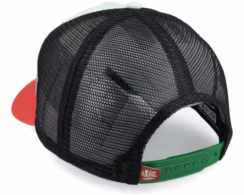 Hft Always Forever SlateOrange A-Frame Trucker - Coastal
