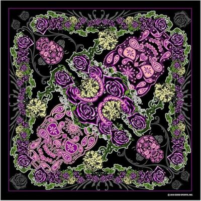 Hot Leathers Paisley Skull Bandana