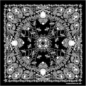 Hot Leathers Paisley Skull Bandana