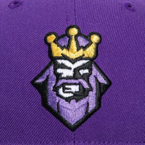 LOS ANGELES KINGS 1995 ALTERNATE HAT