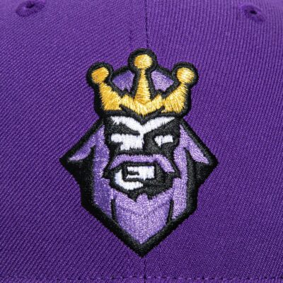 LOS ANGELES KINGS 1995 ALTERNATE HAT