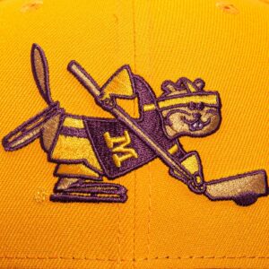 MINNESOTA GOPHERS HOCKEY HAT