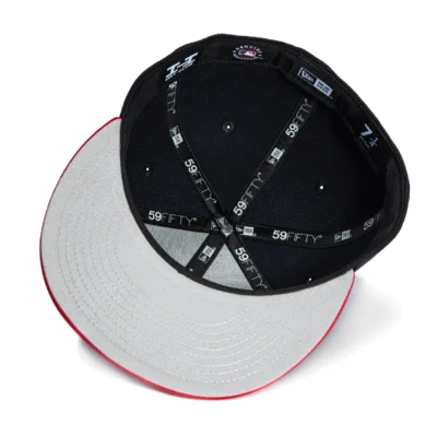 MINNESOTA TWINS ROAD HAT