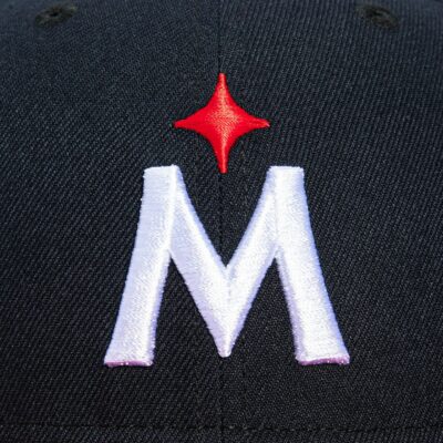 MINNESOTA TWINS ROAD HAT