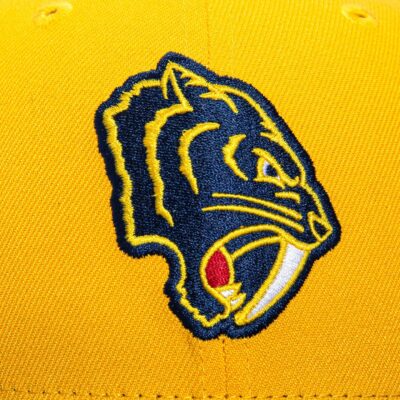 NASHVILLE PREDATORS 2020 WINTER CLASSIC PATCH HAT