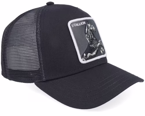 Stallion Void Black A-Frame Trucker - Goorin