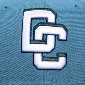 WASHINGTON NATIONALS 2025 CITY CONNECT HAT