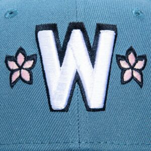 WASHINGTON NATIONALS 2025 CITY CONNECT HAT