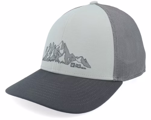 Brand Cap Mountain Mint Leaf Trucker