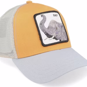 Exclusive x Big Baby YellowGrey Trucker - Goorin Bros