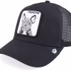 Frenchie Void Black A-Frame Trucker