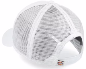 Shawsville Vcloud Trucker - Dickies