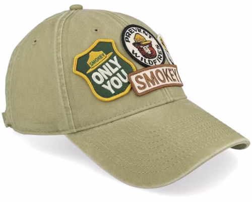 Smokey Bear Iconic Light Khaki Dad Cap - American Needle