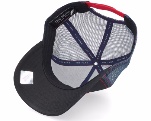 Stallion Trip Black Trucker - Goorin Bros