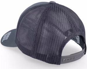 Sylvester Grey Trucker - Looney Tunes