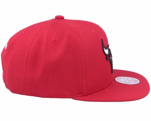 Chicago Bulls Team Ground 2.0 Red Baseball Cap