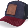 Looney Tunes Coyote & Road Runned Black/Navy/Burgundy A-Frame Trucker
