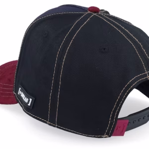 Looney Tunes Coyote & Road Runned Black/Navy/Burgundy A-Frame Trucker