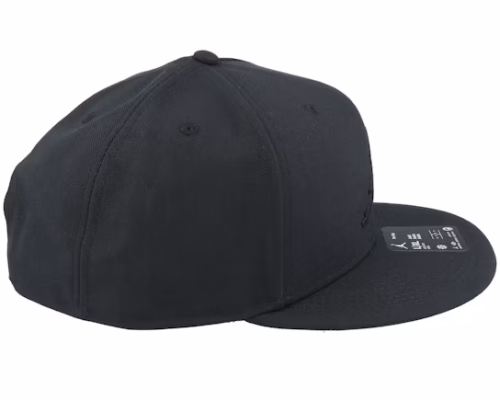 Pro Cap Jumpman Black/Anthracite/Black Baseball Cap