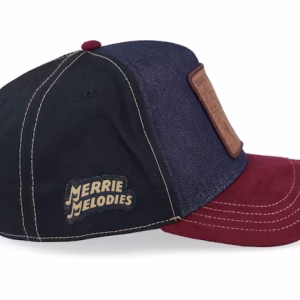 Looney Tunes Coyote & Road Runned Black/Navy/Burgundy A-Frame Trucker