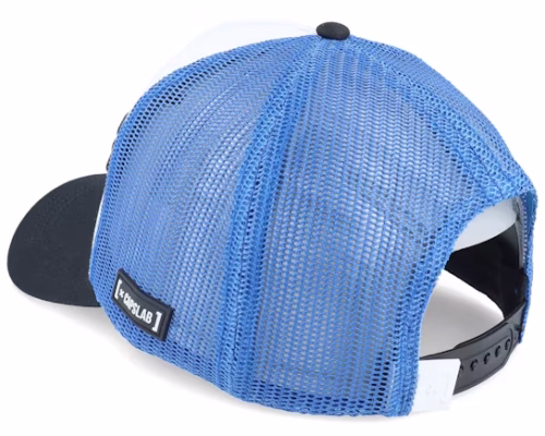 Dragon Ball Capsule WhiteBlueBlack A-Frame Trucker