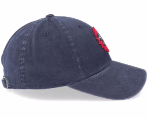 Houston Buffalos Archive Navy Dad Cap