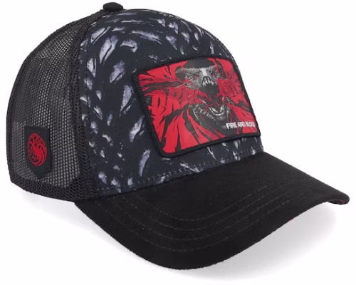 Game Of Thrones Fire And Blood Black A-Frame Trucker