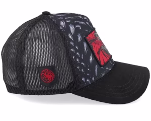 Game Of Thrones Fire And Blood Black A-Frame Trucker