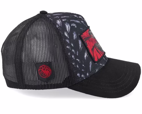Game Of Thrones Fire And Blood Black A-Frame Trucker