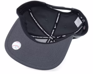 Los Angeles Dodgers Statement Dri-fit Pro Anthracite Baseball Cap