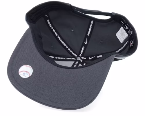 Los Angeles Dodgers Statement Dri-fit Pro Anthracite Baseball Cap