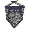 Blue Cotton Fancy Bandana