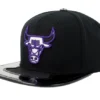 Chicago Bulls Day 11 Black Baseball Cap