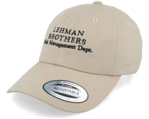 Risk Management Department Stone Dad Cap