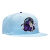 NEW ERA 59FIFTY ERIE SEAWOLVES MOON MAMMOTHS HAT