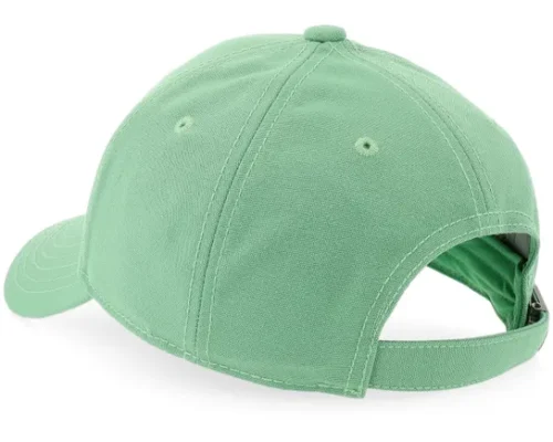Kids Classic Recycled 66 Hat Dimmed Algae Adjustable Cap